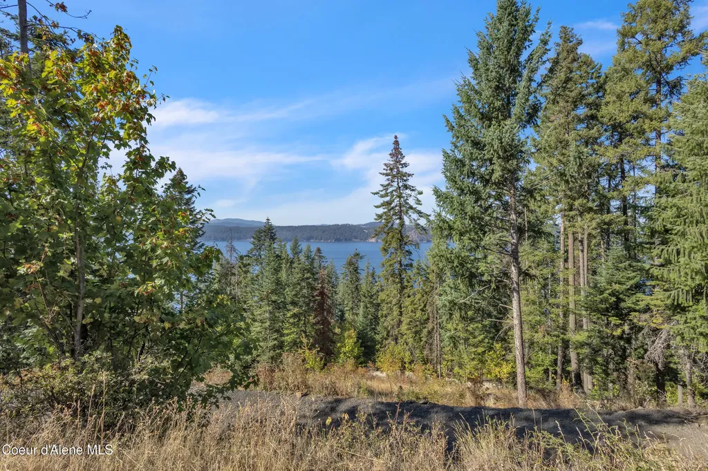 783 E Cliff View Drive Harrison ID 83833