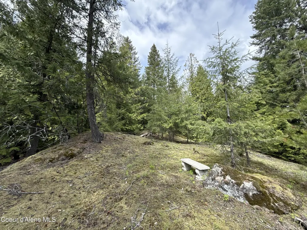 1094 Spirit Wolf Trail Sandpoint ID 83864