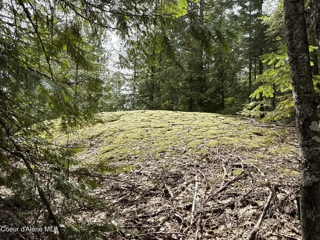 1094 Spirit Wolf Trail Sandpoint ID 83864