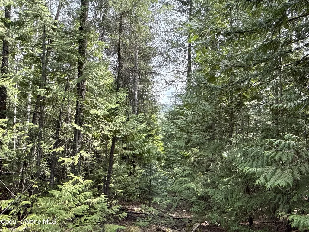 1094 Spirit Wolf Trail Sandpoint ID 83864