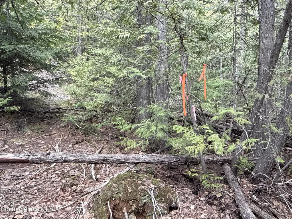 1094 Spirit Wolf Trail Sandpoint ID 83864