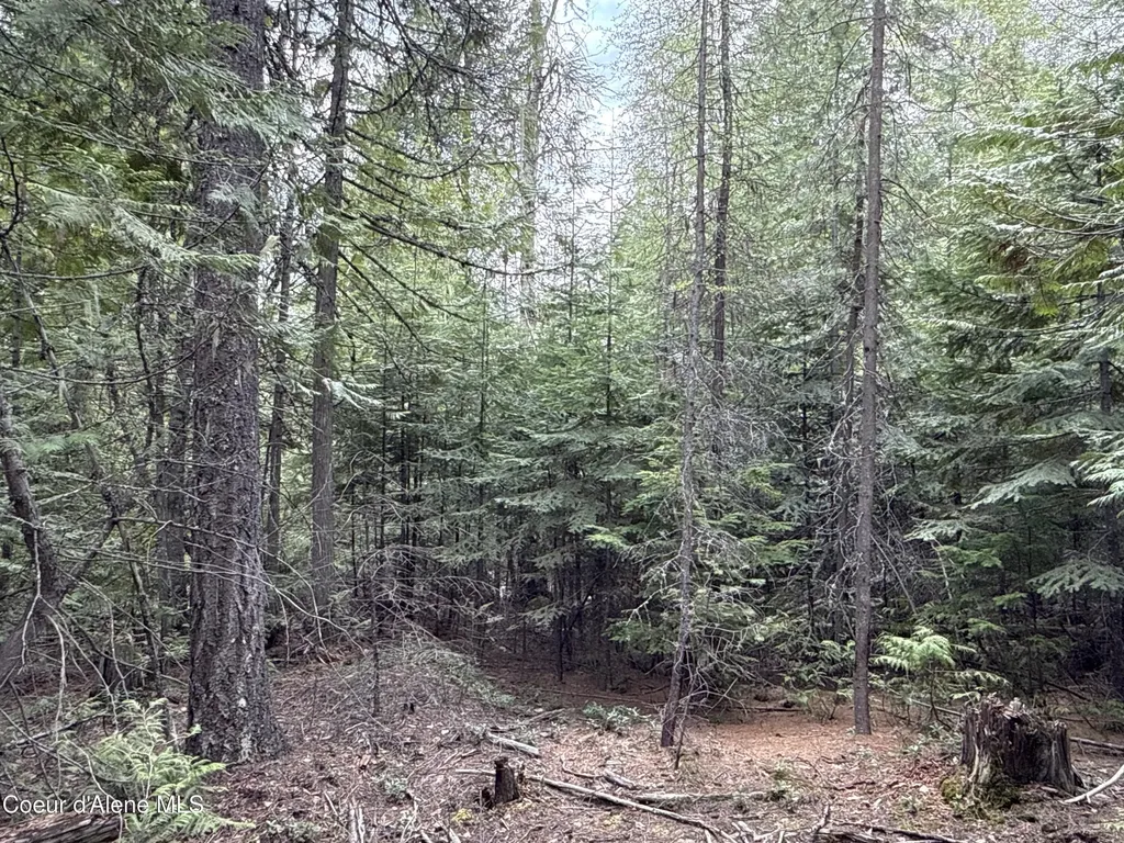 1094 Spirit Wolf Trail Sandpoint ID 83864