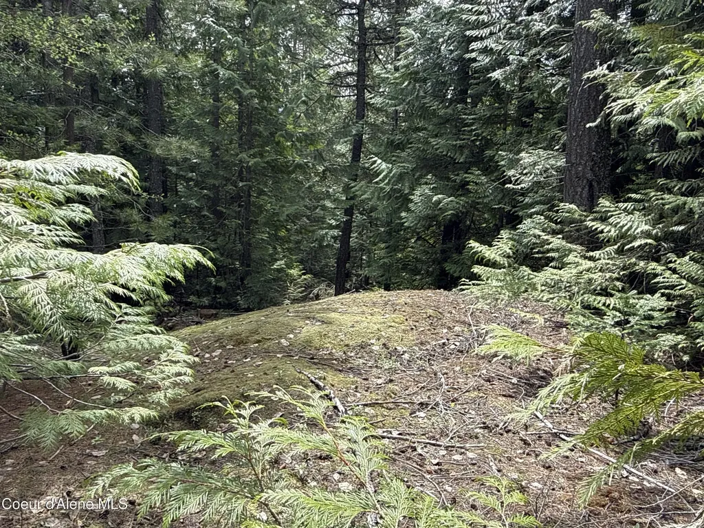 1094 Spirit Wolf Trail Sandpoint ID 83864