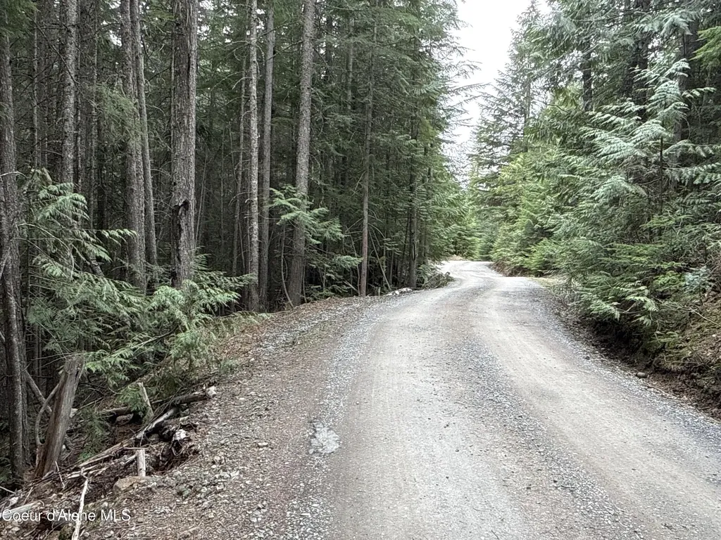 1094 Spirit Wolf Trail Sandpoint ID 83864