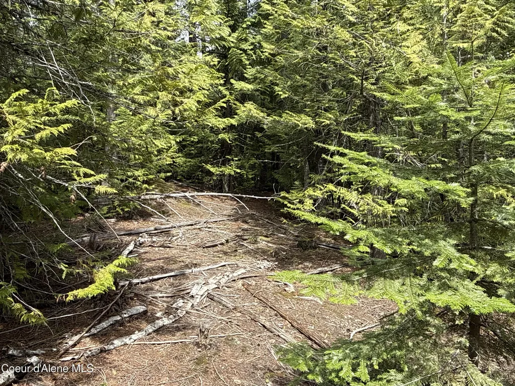 1094 Spirit Wolf Trail Sandpoint ID 83864