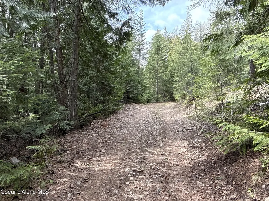 1094 Spirit Wolf Trail Sandpoint ID 83864