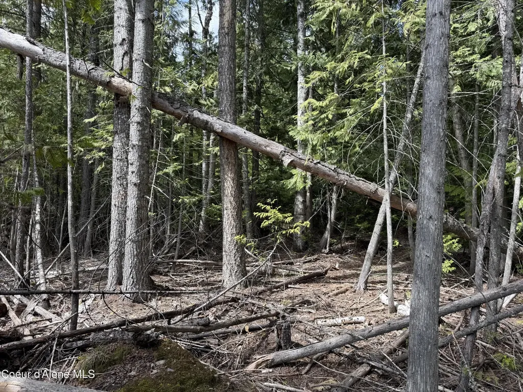 1094 Spirit Wolf Trail Sandpoint ID 83864