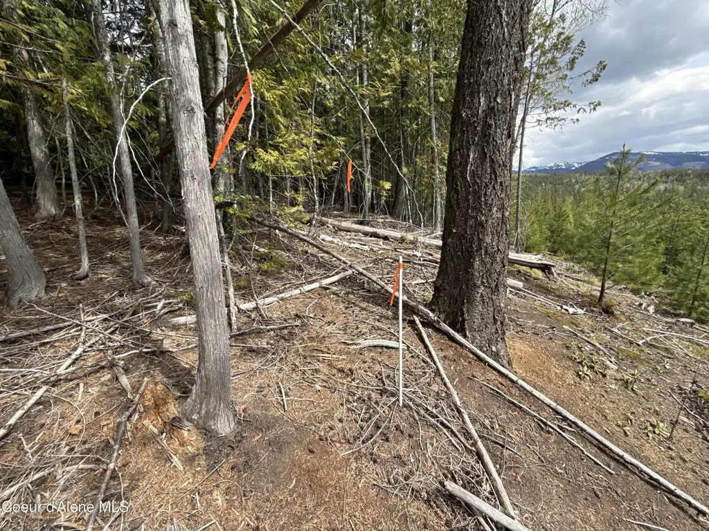 1094 Spirit Wolf Trail Sandpoint ID 83864