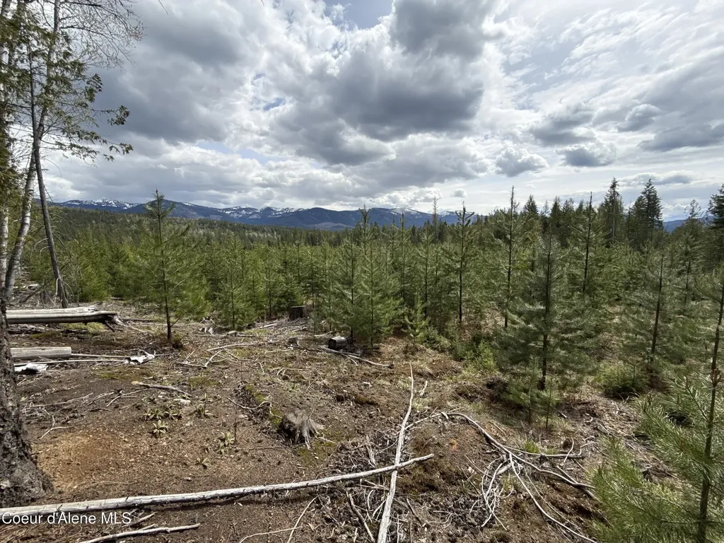 1094 Spirit Wolf Trail Sandpoint ID 83864
