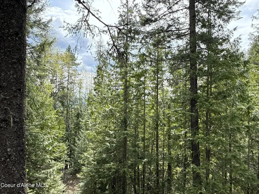 1094 Spirit Wolf Trail Sandpoint ID 83864