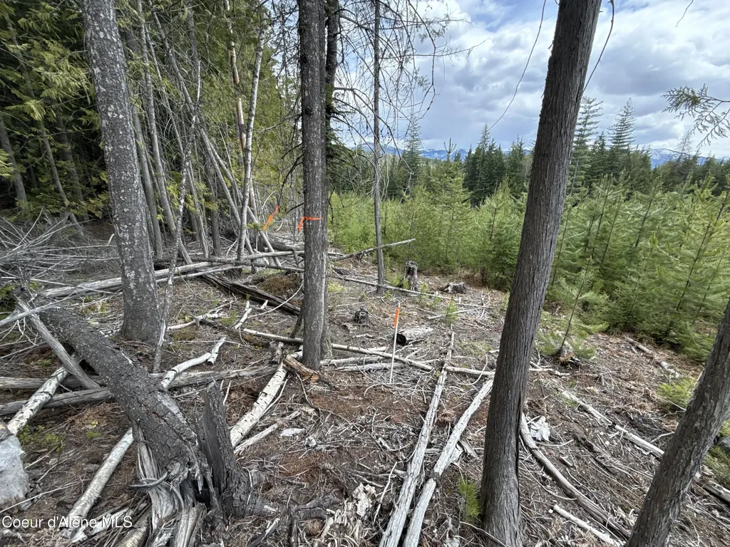 1094 Spirit Wolf Trail Sandpoint ID 83864