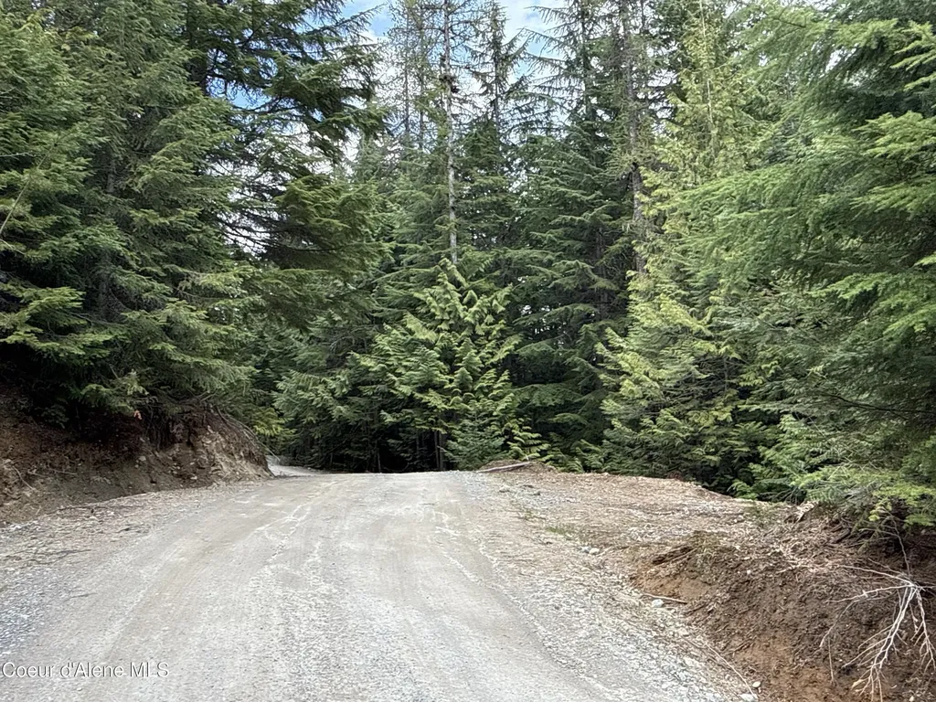 1094 Spirit Wolf Trail Sandpoint ID 83864