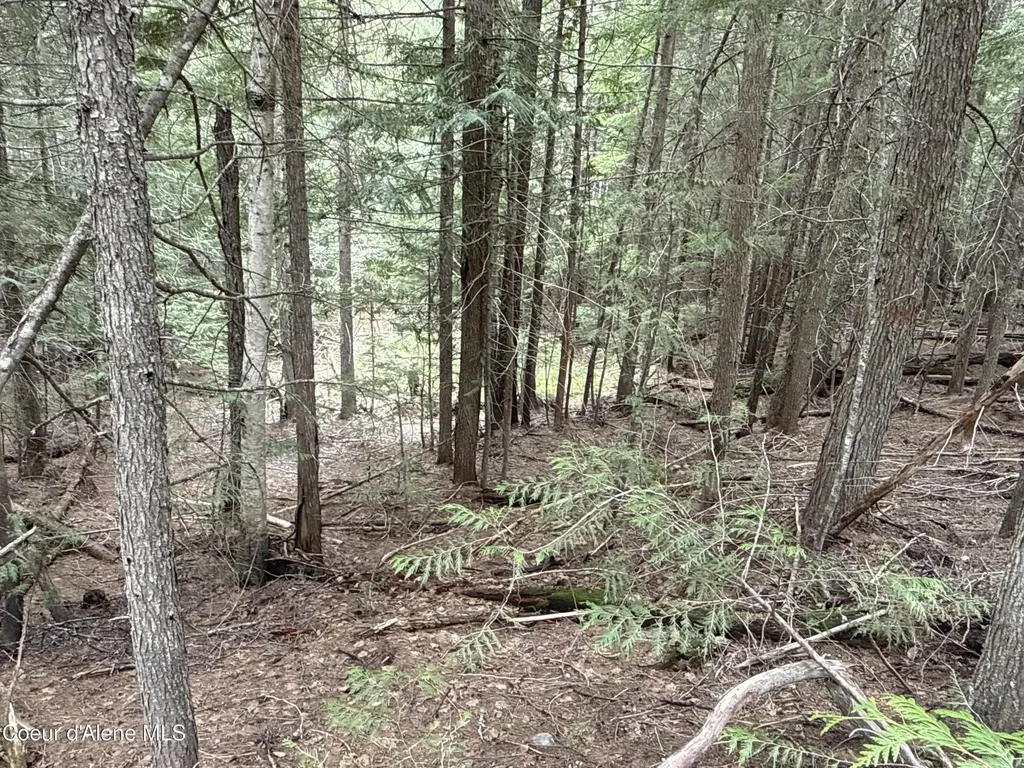 1094 Spirit Wolf Trail Sandpoint ID 83864