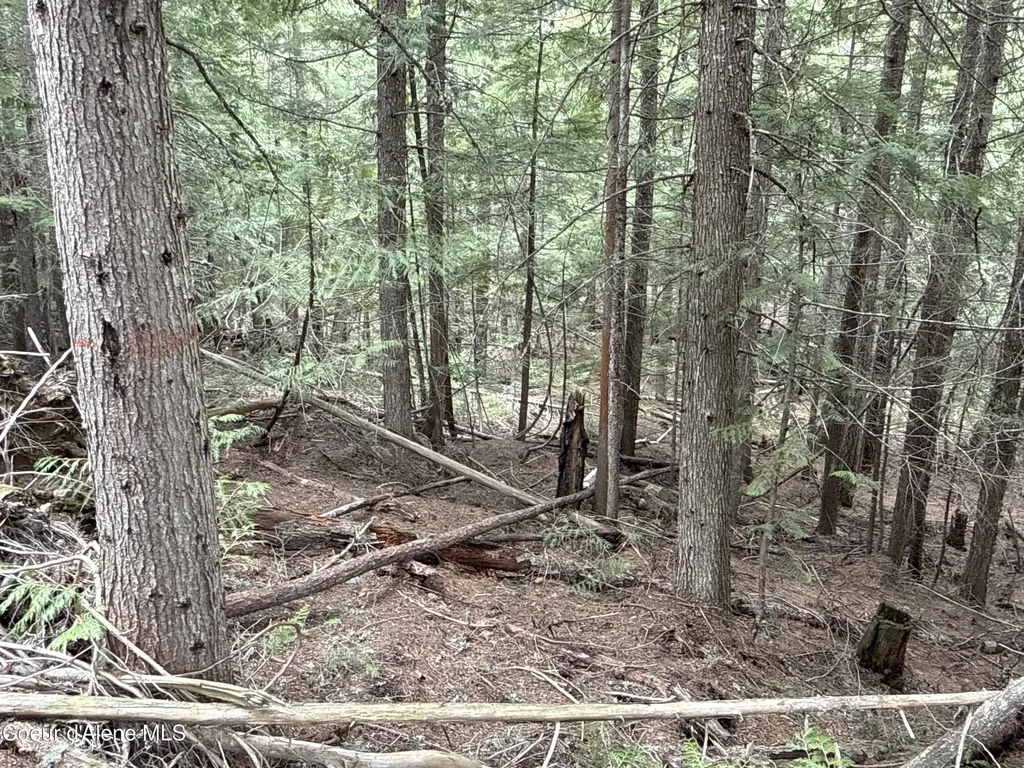 1094 Spirit Wolf Trail Sandpoint ID 83864