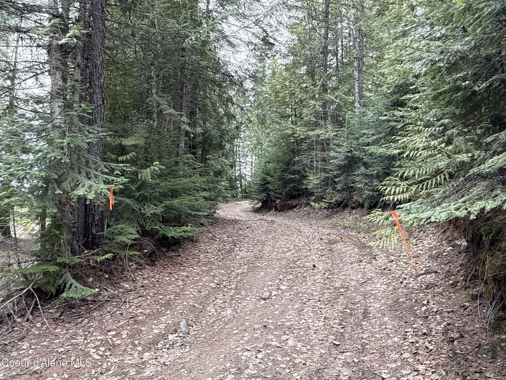 1094 Spirit Wolf Trail Sandpoint ID 83864