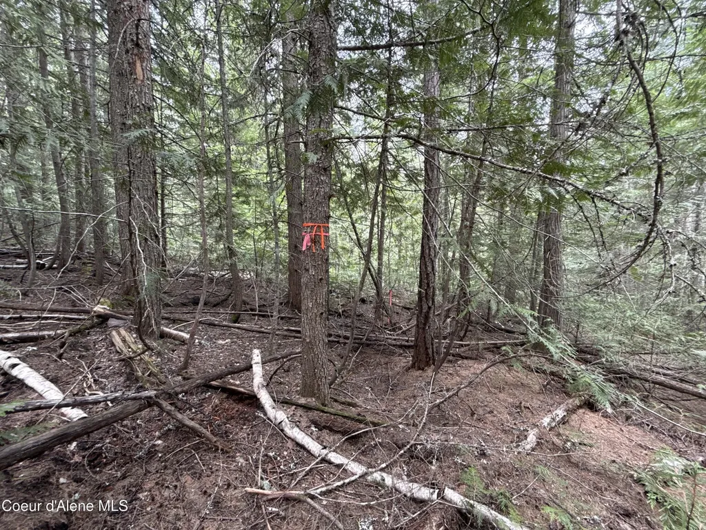 1094 Spirit Wolf Trail Sandpoint ID 83864