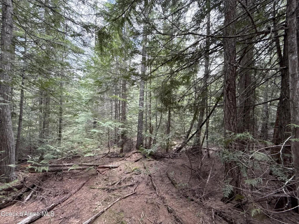 1094 Spirit Wolf Trail Sandpoint ID 83864