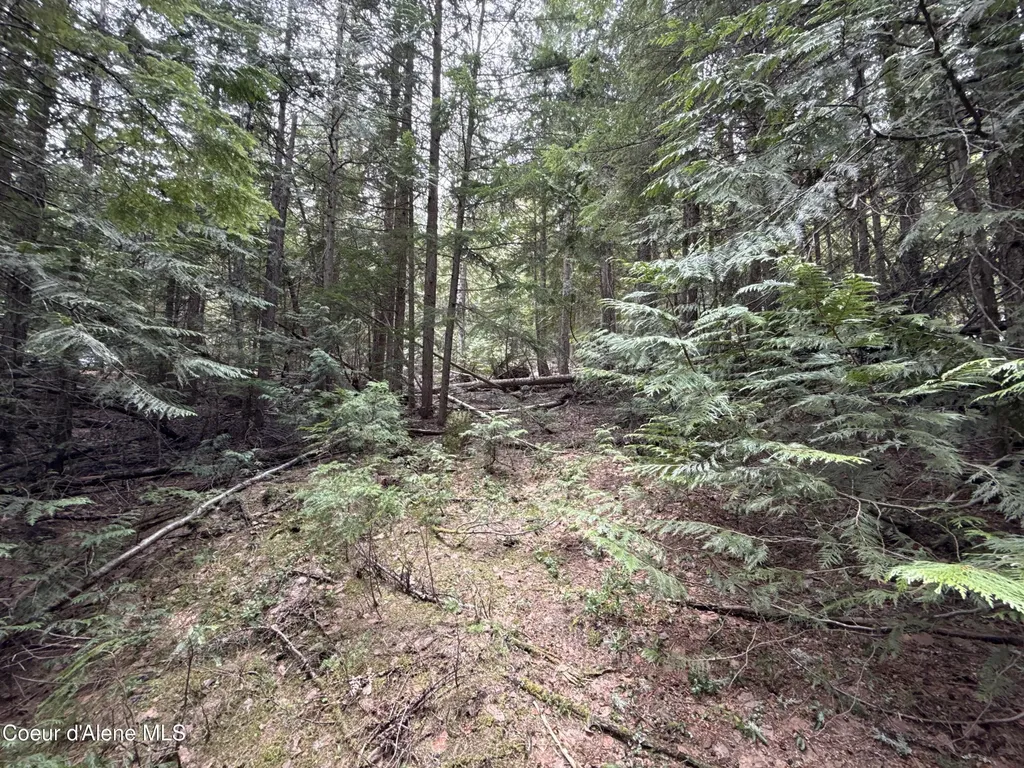 1094 Spirit Wolf Trail Sandpoint ID 83864