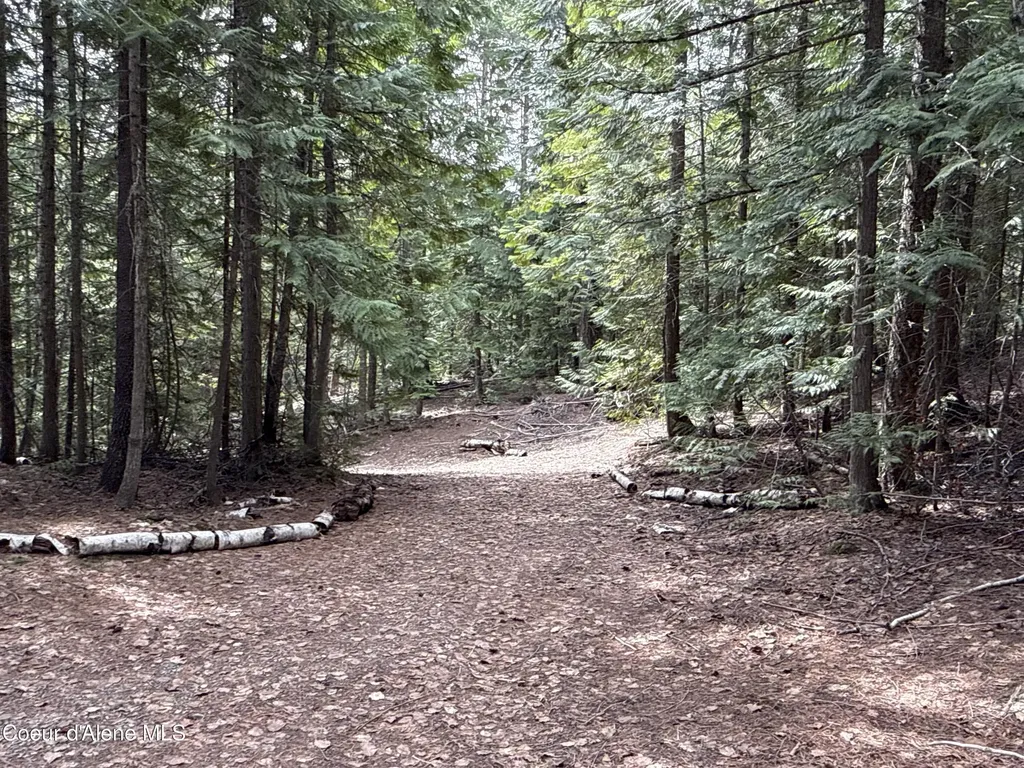 1094 Spirit Wolf Trail Sandpoint ID 83864