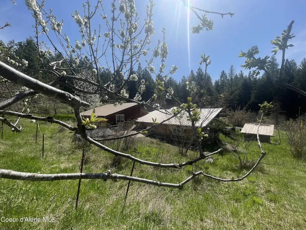 2447 Turner Hill Road Bonners Ferry ID 83805