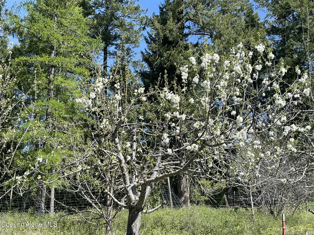 2447 Turner Hill Road Bonners Ferry ID 83805