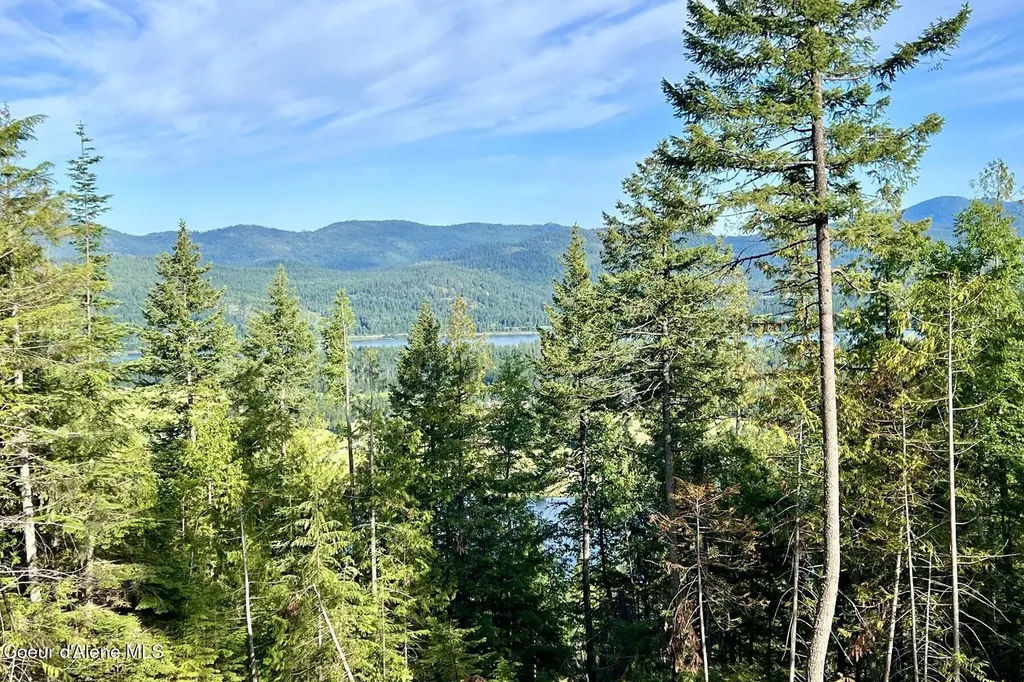 Nna Lot 8 Luna Ridge Sagle ID 83860