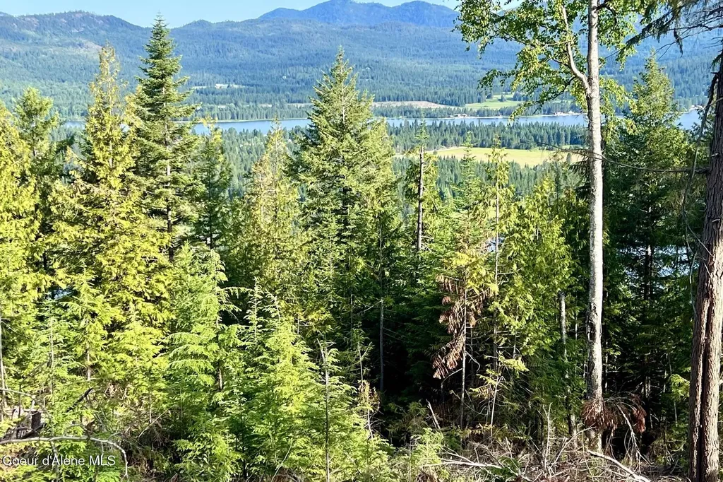 Nna Lot 8 Luna Ridge Sagle ID 83860