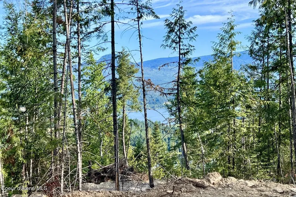 Nna Lot 8 Luna Ridge Sagle ID 83860