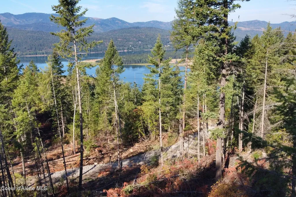 Nna Lot 8 Luna Ridge Sagle ID 83860