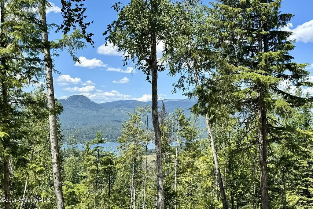 Nna Lot 8 Luna Ridge Sagle ID 83860