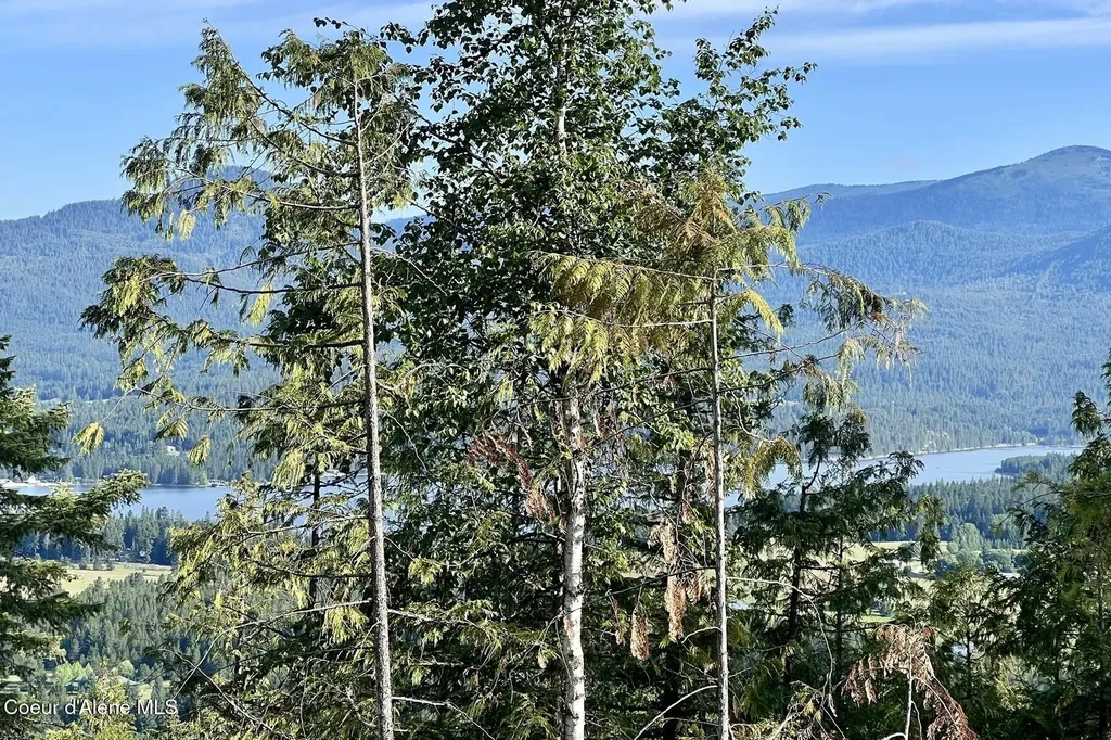Nna Lot 8 Luna Ridge Sagle ID 83860