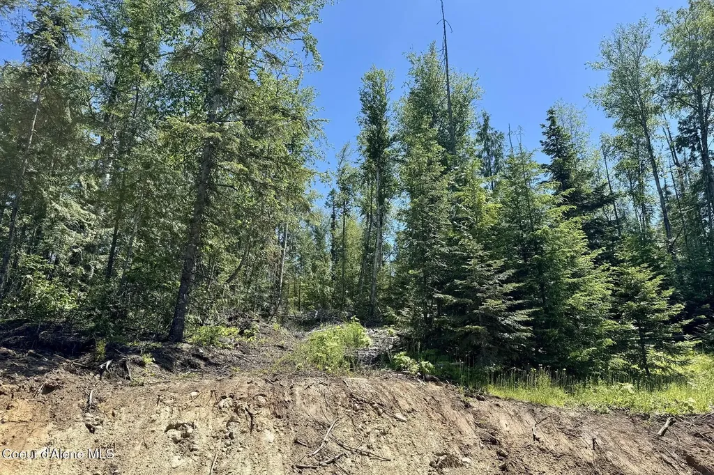 Nna Lot 8 Luna Ridge Sagle ID 83860