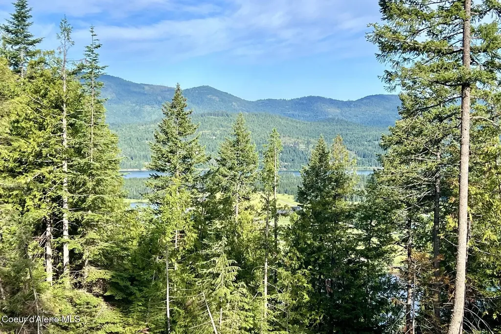 Nna Lot 8 Luna Ridge Sagle ID 83860