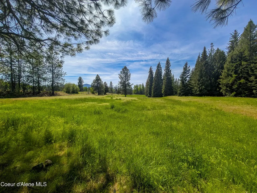288 Lignite Road Sagle ID 83860