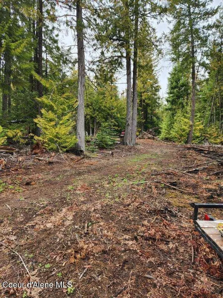 Nka Middle Fork Santa Creek Road St. Maries ID 83861