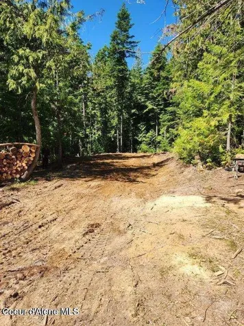 NKA Middle Fork Santa Creek Road St. Maries ID 83861