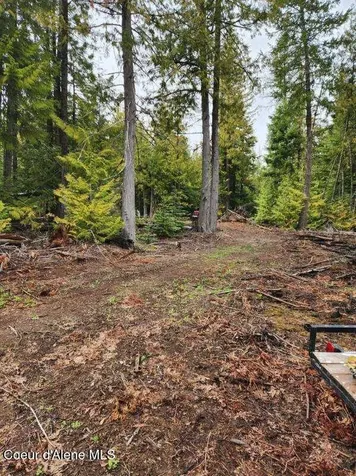NKA Middle Fork Santa Creek Road St. Maries ID 83861