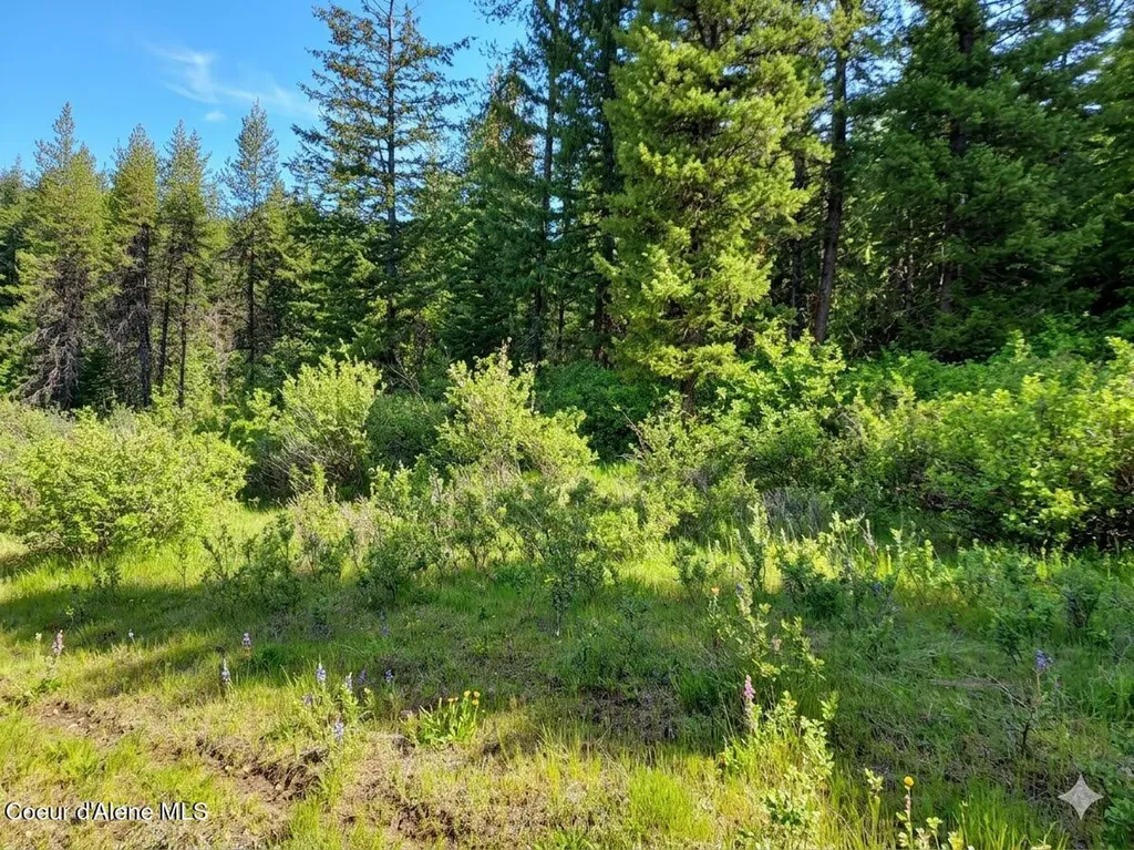 Nka Dorning Drive St. Maries ID 83861