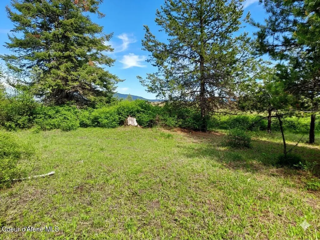 Nka Dorning Drive St. Maries ID 83861