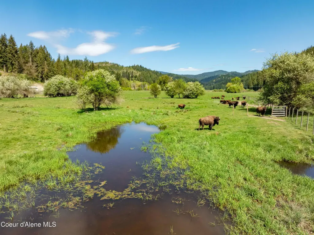 12948 S Highway 3 Cataldo ID 83810
