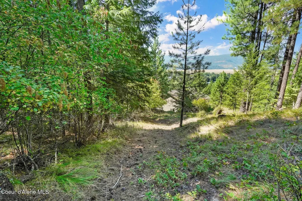 273 Paradise Valley Road Bonners Ferry ID 83805