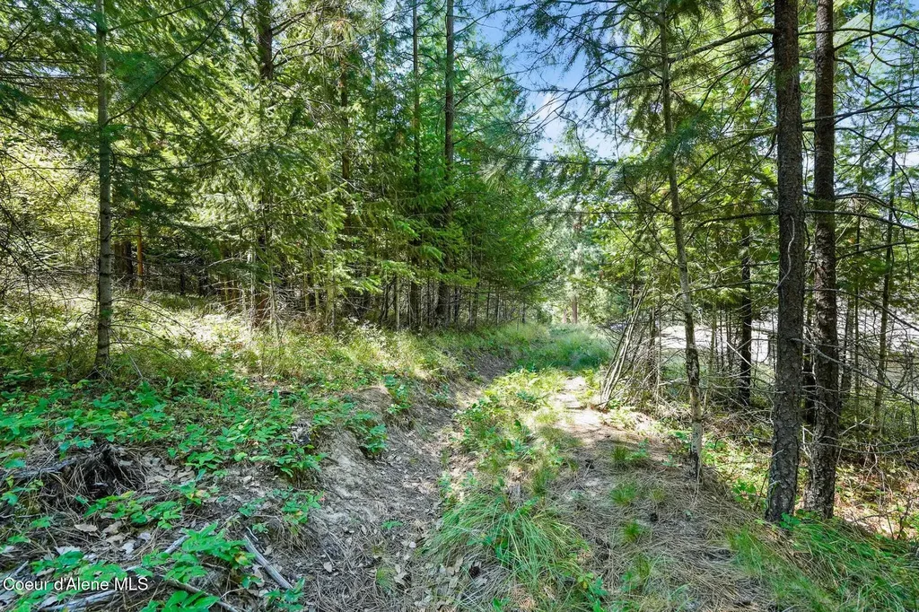 273 Paradise Valley Road Bonners Ferry ID 83805