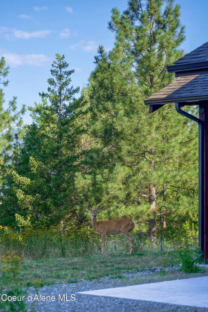 273 Paradise Valley Road Bonners Ferry ID 83805