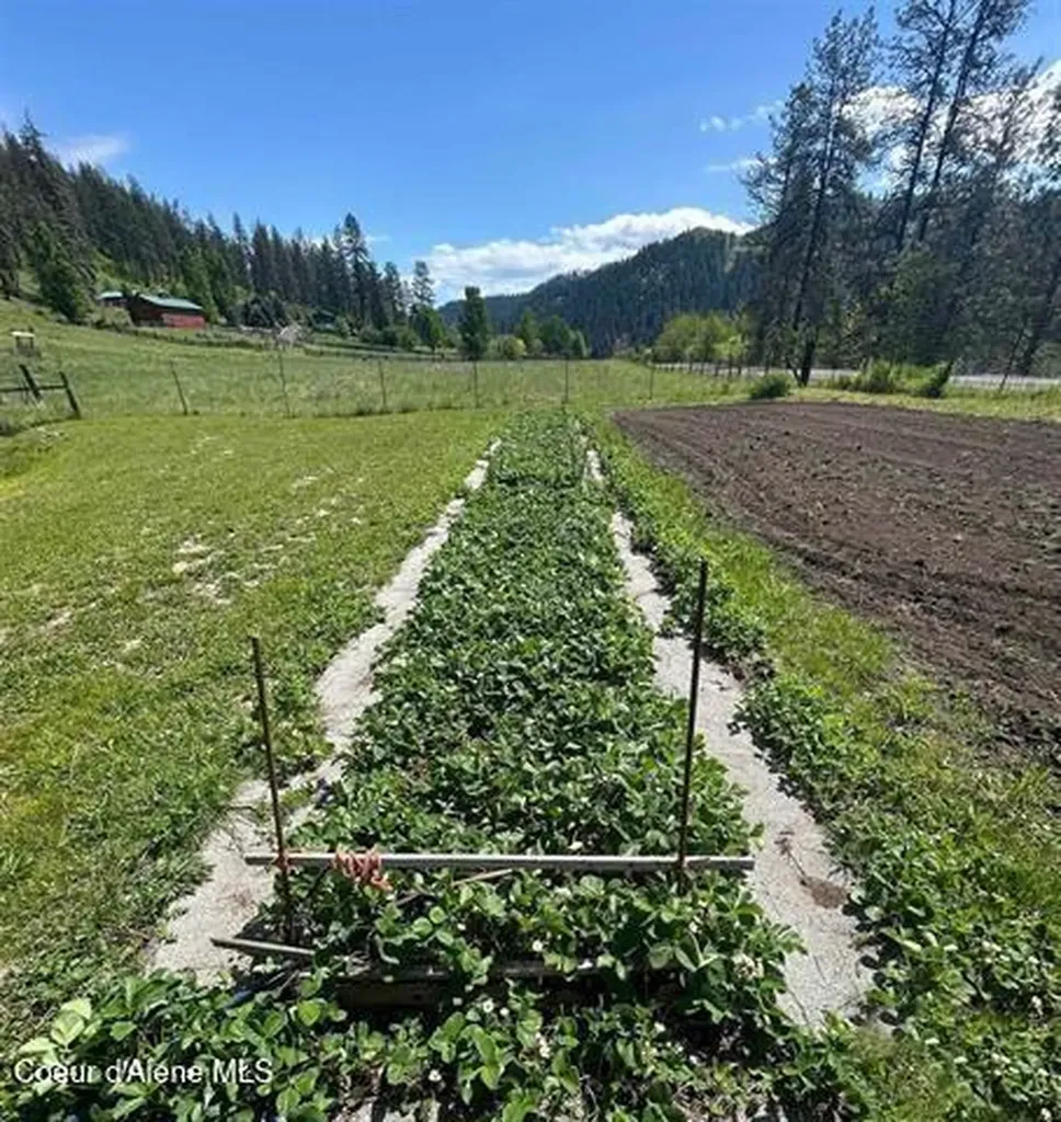 6215 Us-12 Kooskia ID 83539