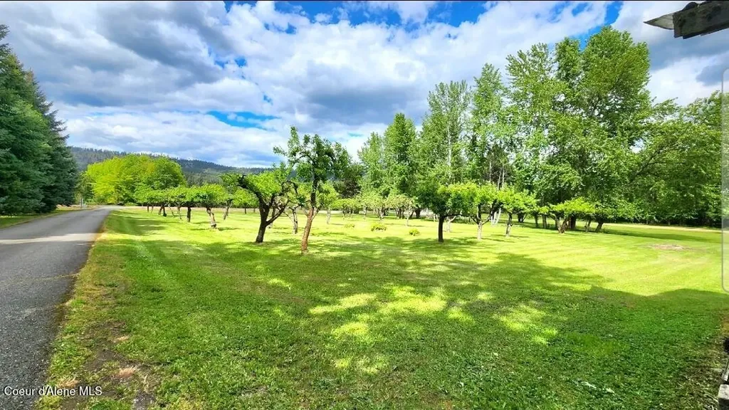 874 Cottonwood Drive St. Maries ID 83861