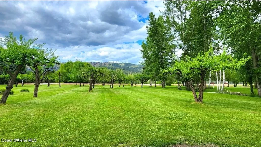 874 Cottonwood Drive St. Maries ID 83861