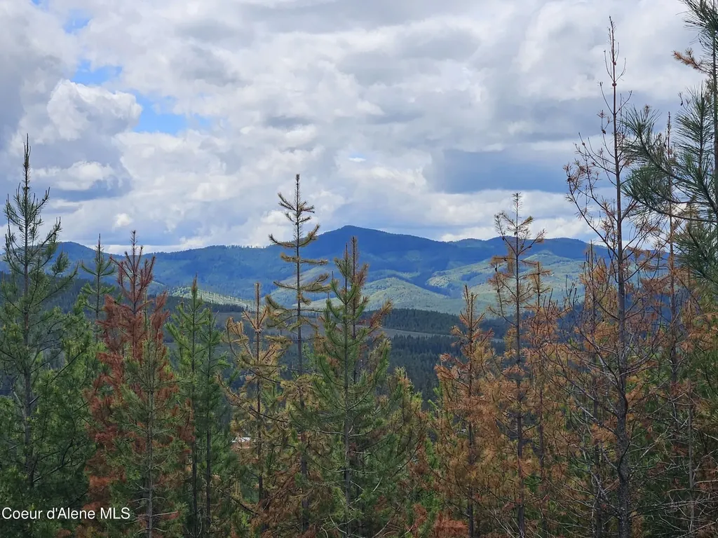 Nka Crystal Peak Road Fernwood ID 83830
