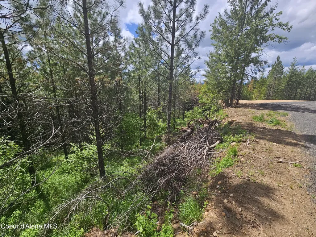 Nka Crystal Peak Road Fernwood ID 83830