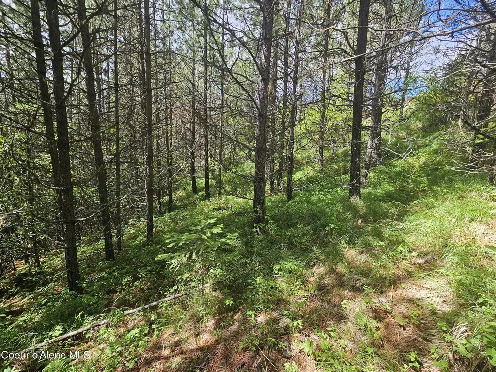Nka Crystal Peak Road Fernwood ID 83830