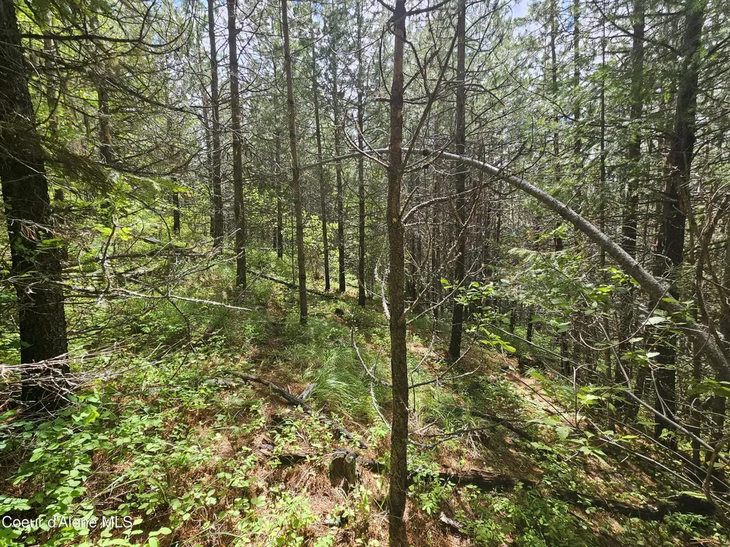 Nka Crystal Peak Road Fernwood ID 83830